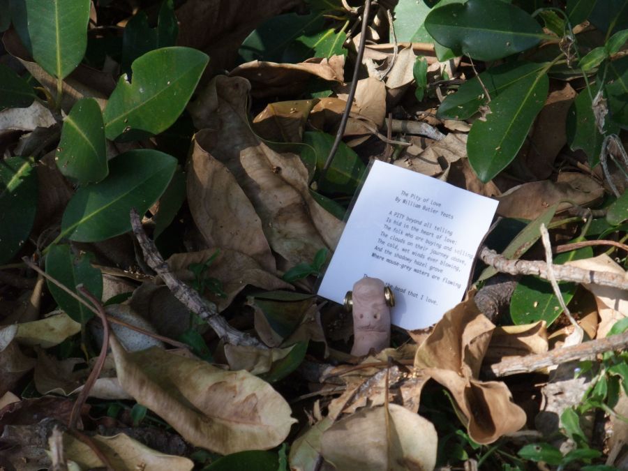 The Belle twin made into the Sydney Biennale