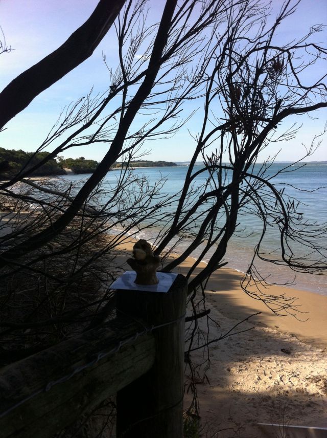 Oxy is one of 11 offspring who make up all the elements in the human body. He feels very special.