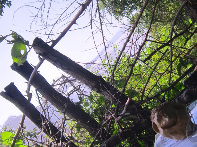 " Hi Bro. Remember when we were here in 1959 and much to the horror of the family they thought I had fallen in. Oh well not to be I am still here! Miss you though"