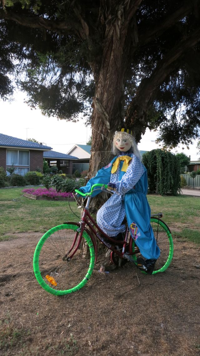 Mr T Spade's new home Moyhu, Australia