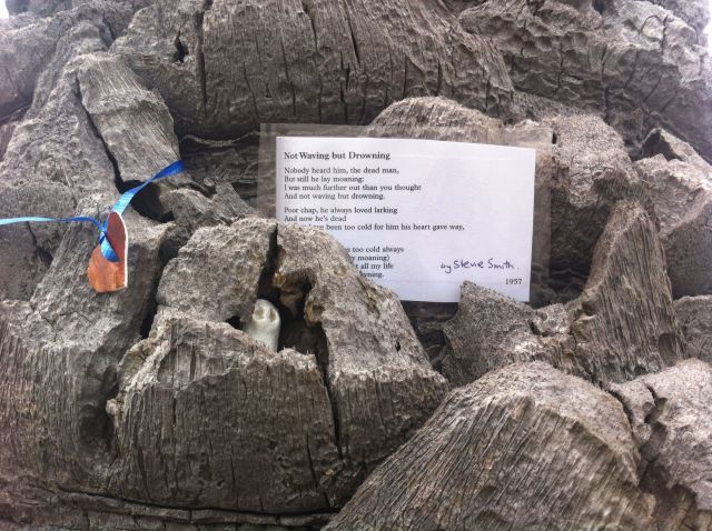 Alone also wondered how do we know when some one is waving and when are they drowning? 